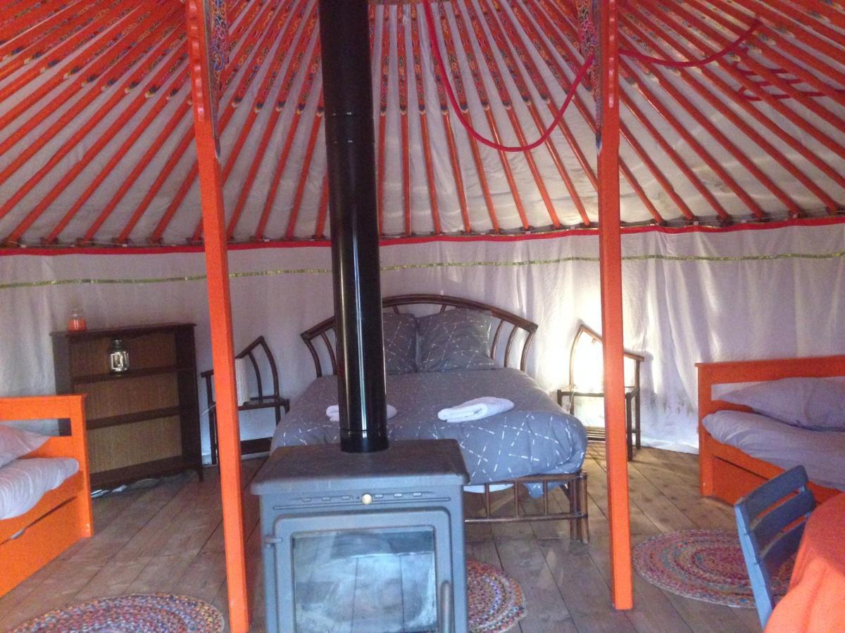 Yourte Mongole Saint-Léger-sur-Dheune Exteriör bild